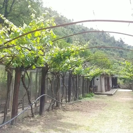 Campsite Agricamping Ponte Raggio 1 Dolceacqua