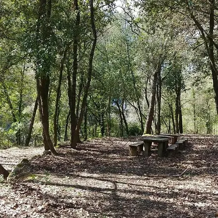 Agricamping Ponte Raggio 1 * Dolceacqua
