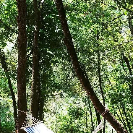 Campsite Agricamping Ponte Raggio 1 Dolceacqua