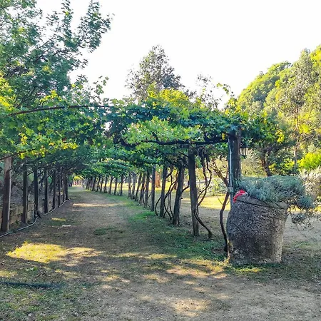 Agricamping Ponte Raggio 1 * Dolceacqua
